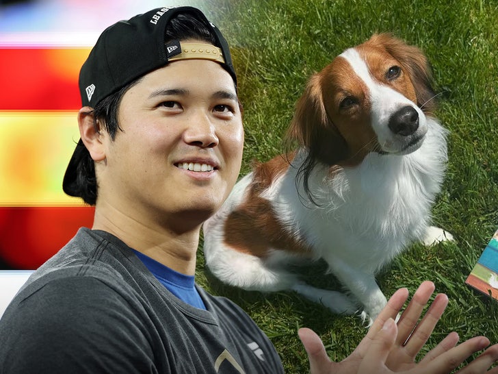 shohei ohtani decoy main getty instagram