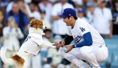 Dodgers vs Blue Jays channel today, World Series Game 1 time, TV, live streaming