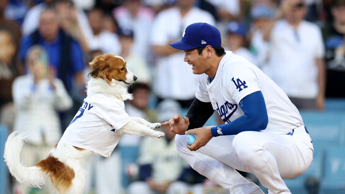 Dodgers vs Blue Jays channel today, World Series Game 1 time, TV, live streaming