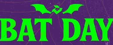 Unleash Your Power: One-Day Bat Sale Extravaganza!