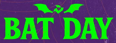 Unleash Your Power: One-Day Bat Sale Extravaganza!