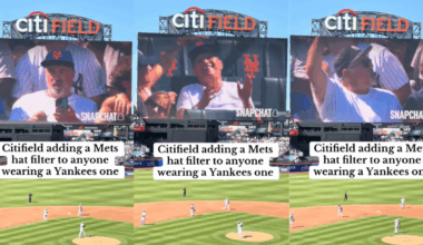 fans at a baseball game