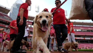A basher, ‘Bark in the Park,’ and free tickets for kids