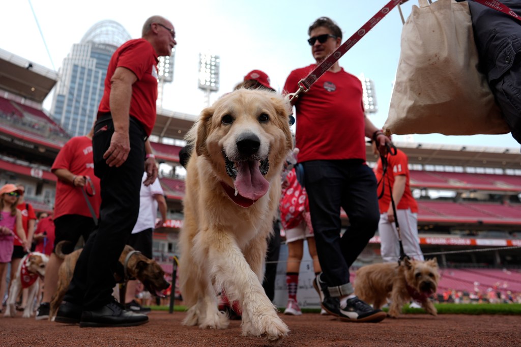 A basher, ‘Bark in the Park,’ and free tickets for kids