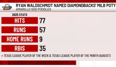 Ryan Waldschmidt and Daniel Eagen named Diamondbacks MILB Player of the Year and Pitcher of the Year respectively
