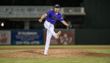 Twins AFL Report, Week 2: Hendry Mendez Hits, Brandon Winokur Clutches Up - Minor Leagues