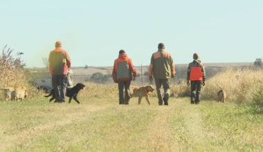 Former MLB catcher Terry Steinbach joins in on opening pheasant weekend