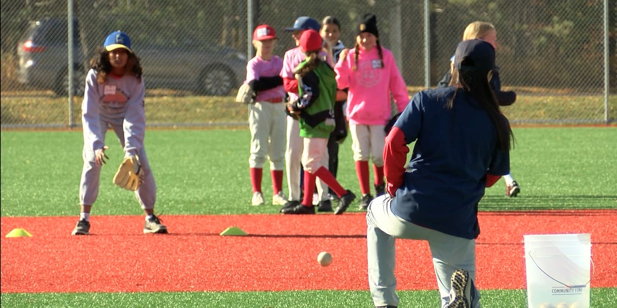 Minnesota Twins hold girls’ baseball clinic in Hermantown