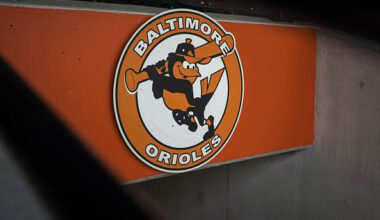 The Orioles have some pitcher options to trade for this offseason.