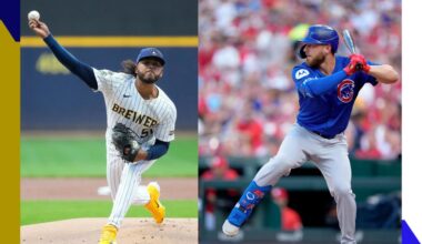 Where to buy, best prices