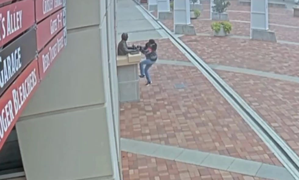 Police released video of the vandalism and ask the community to come forward with any info