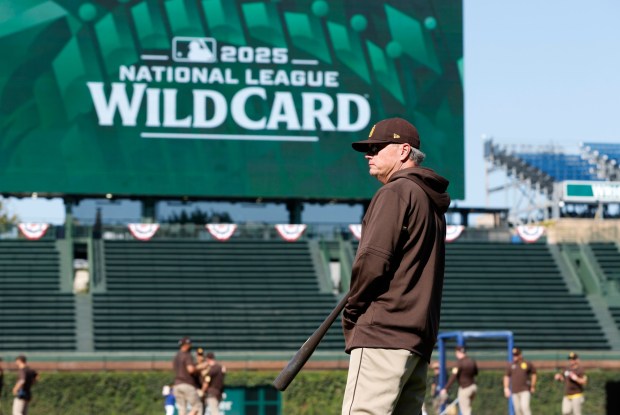 Padres manager Mike Shildt watches Monday's workout at Wrigley Field the day before the Padres and Cubs begin their National League Wild Card Series. (Photo by K.C. Alfred / The San Diego Union-Tribune)