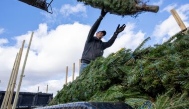 Local Man Shocked to Learn His Life Still Sucks A Week After Rocco Baldelli is Fired - Just For Fun