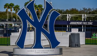 Ex-Yankees outfielder makes trade pitch for MLB’s hardest thrower