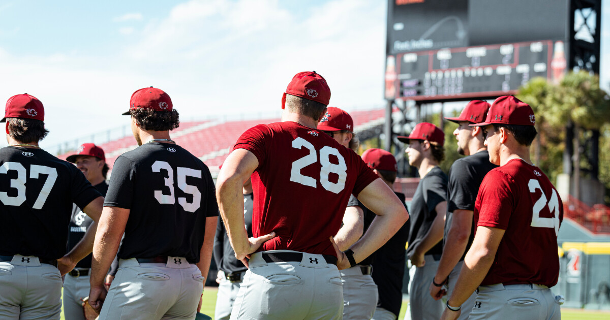 Baseball to Scrimmage Five Times to End October – University of South Carolina Athletics