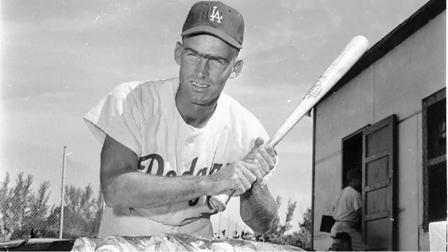 Wally Moon_1518302481281.jpg.jpg