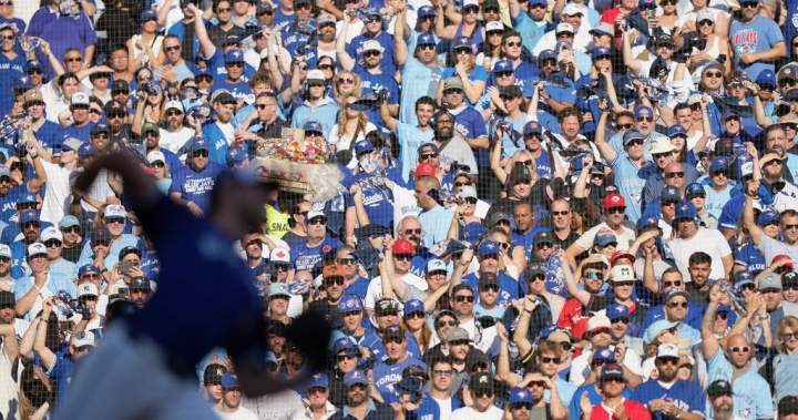 A bandwagon fan’s guide to baseball