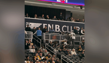 Fan falls from stands at Pittsburgh's PPG Paints Arena during Penguins-Blues game