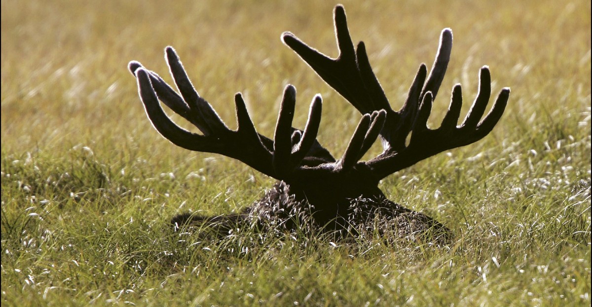 Postseason Game Discussion, #21 | AZ Snake Pit