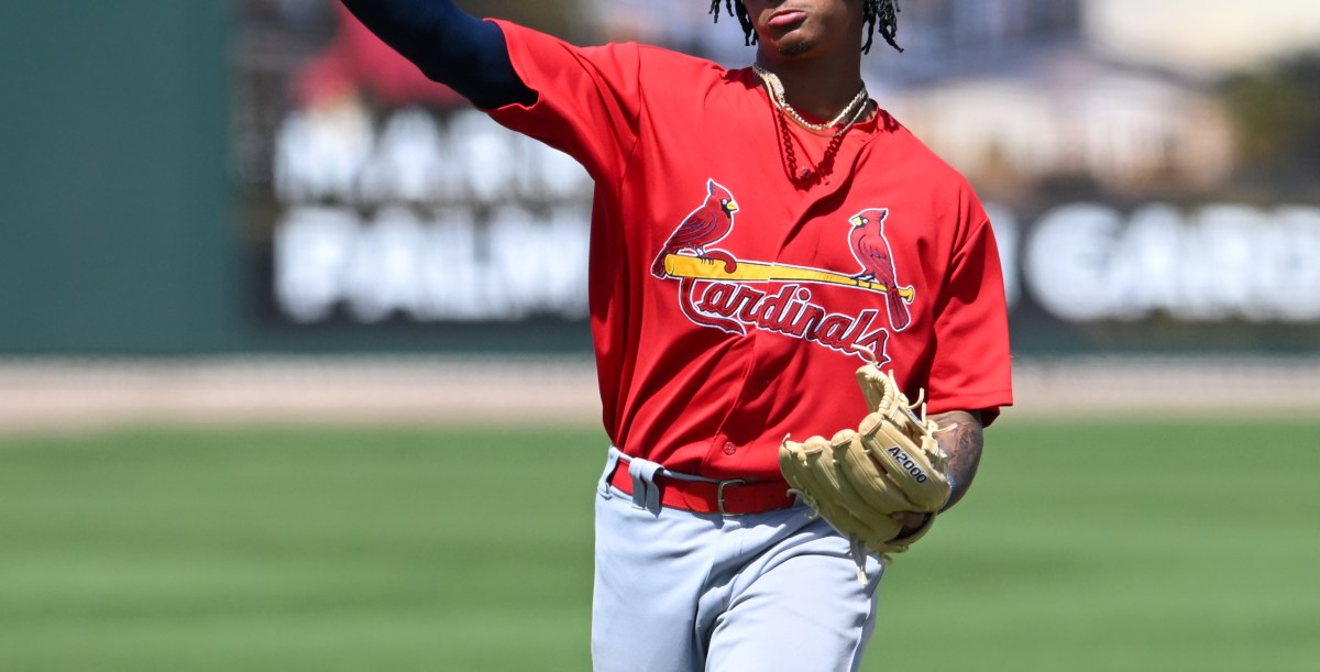 End of season minor league update: rookie leagues (and some pitchers)