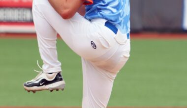 Orioles prospects: Michael Forret season review