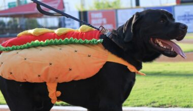 Friday morning Rangers things | Lone Star Ball