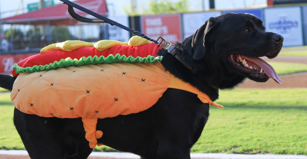 Friday morning Rangers things | Lone Star Ball