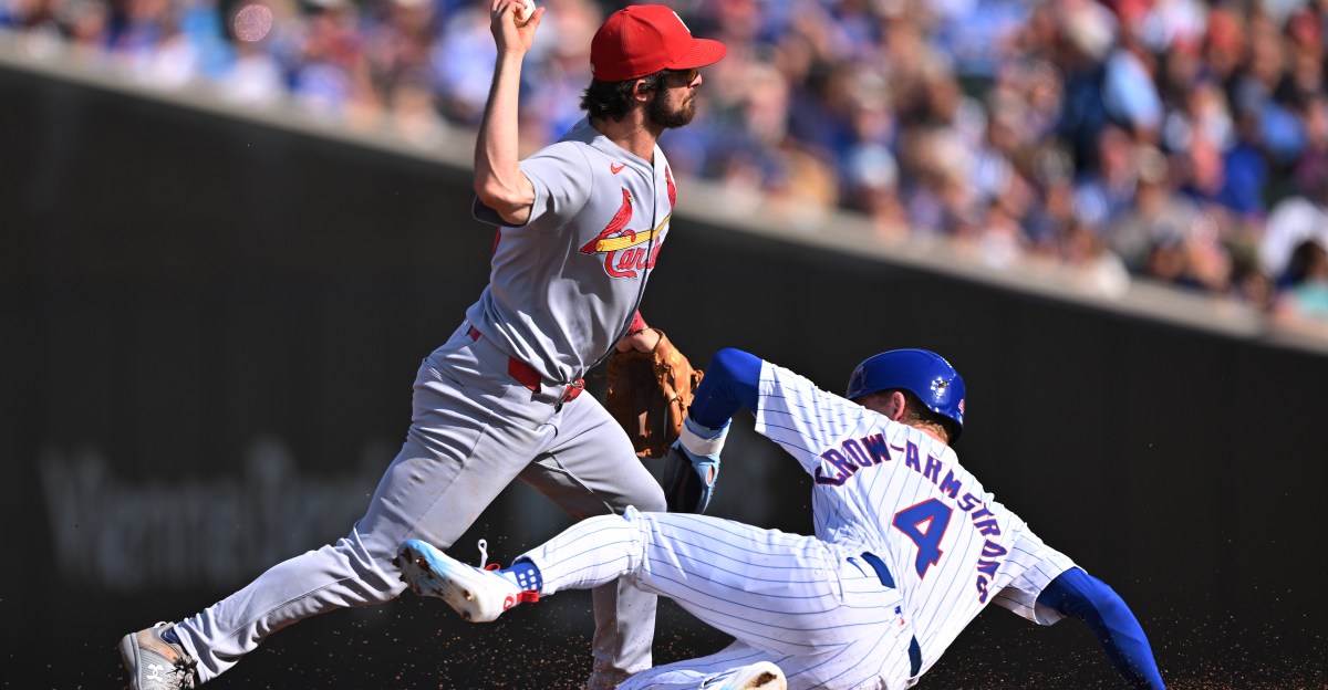 2025: What Went Wrong? | Viva El Birdos