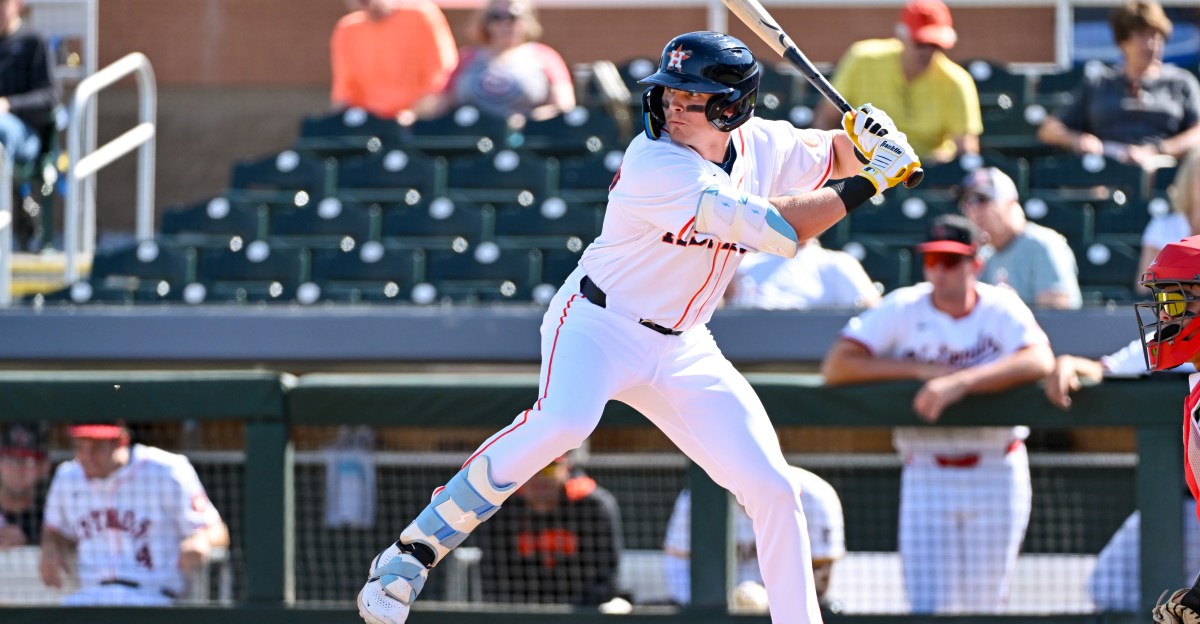 Asheville Tourists Top Performers in 2025