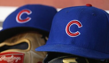A look at the Cubs’ 40-man roster