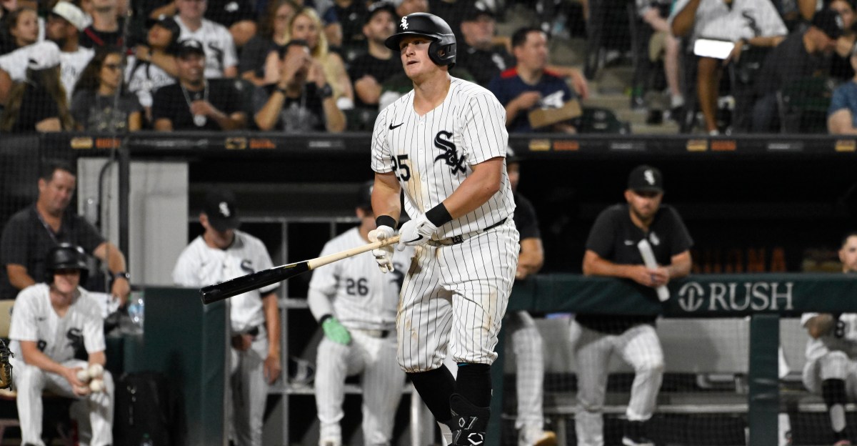 Andrew Vaughn was never going to be king in Chicago