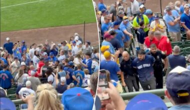 Cubs fan dragged out of stadium in handcuffs in crazy playoff scene