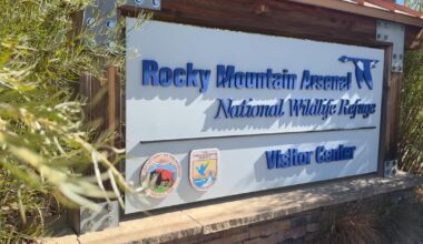 Rocky Mountain Arsenal National Wildlife Refuge in Colorado feels impacts of federal government shutdown