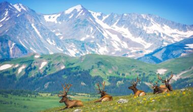 8 Best Towns In The Rockies For A Two-Day Recharge