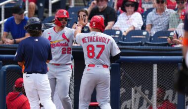 End of season minor league update: the hitters