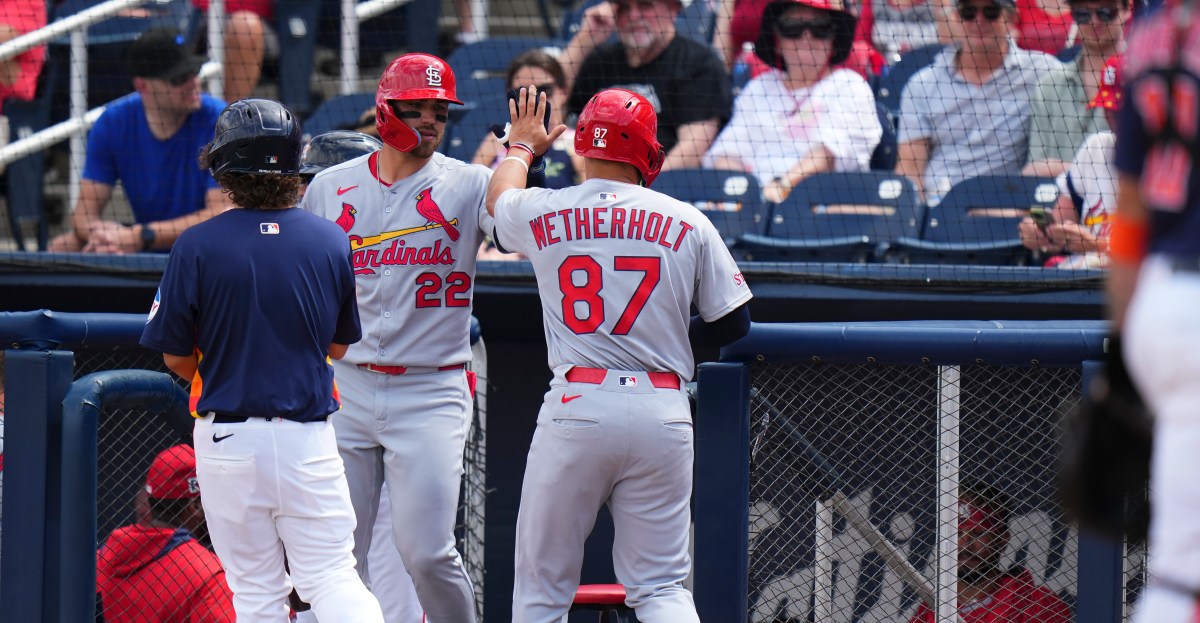 End of season minor league update: the hitters