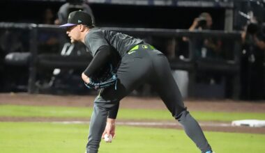 Twins trade with Rays for reliever while adding top prospects to 40-man roster