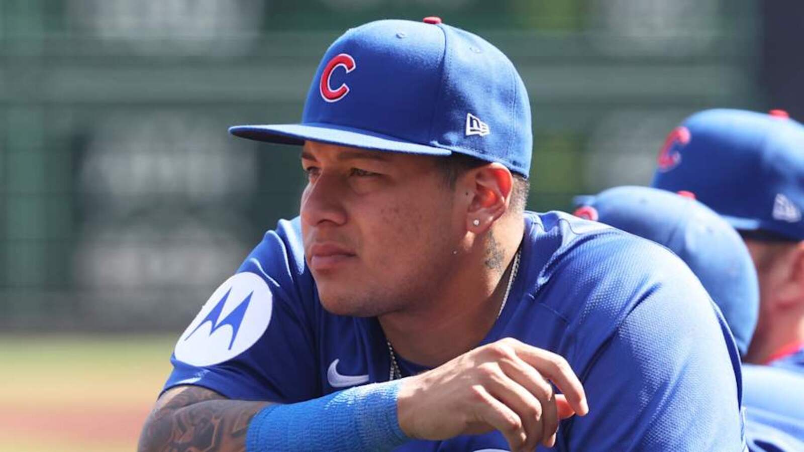 Cubs Top Prospects Dominate Latest Projected Future Batting Order And Rotation
