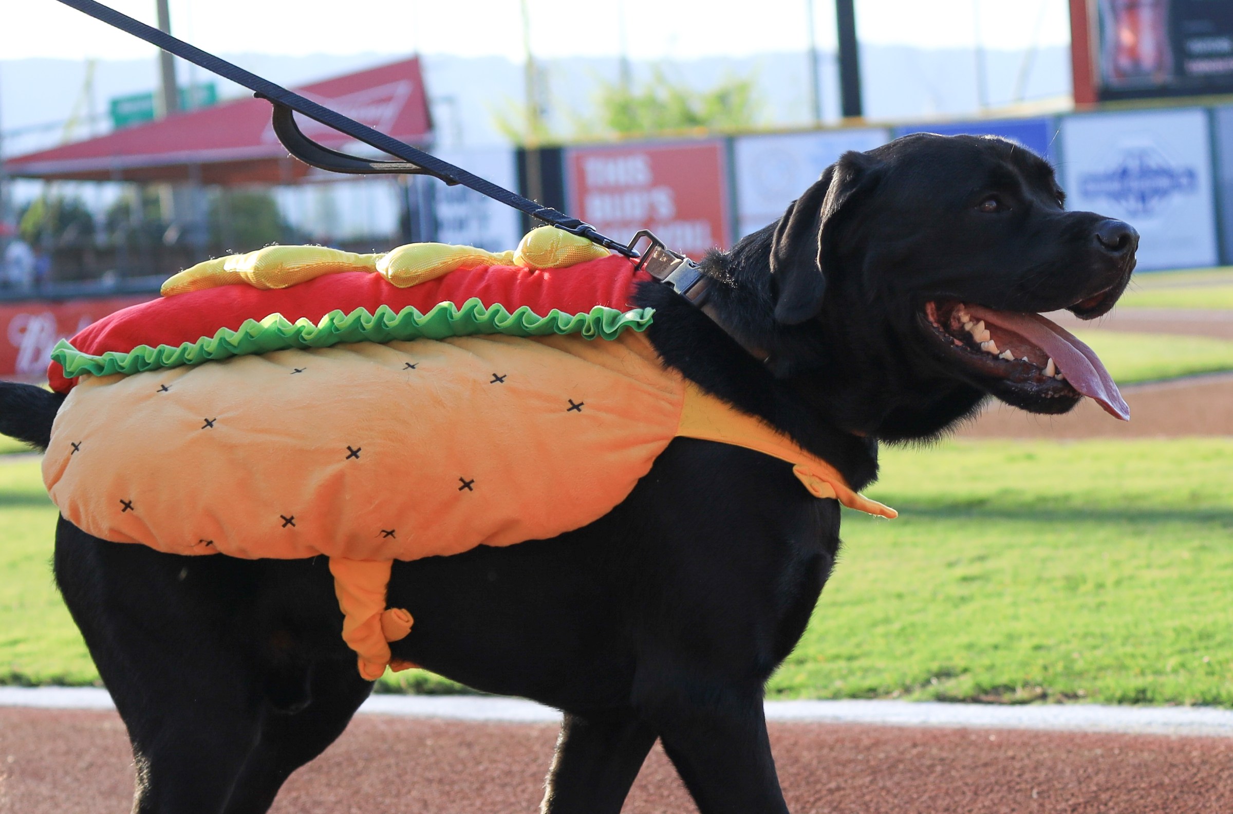 Friday morning Rangers things