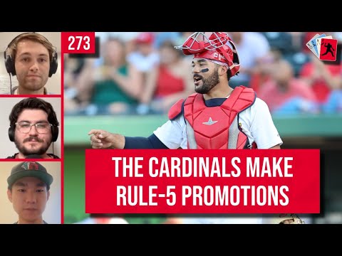 Did the Cardinals Protect the Right Prospects? – Rule 5 Deadline Review