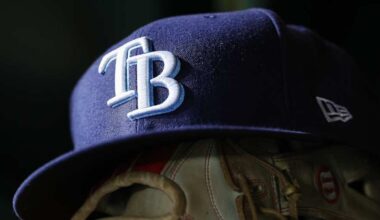 Rays Slugger Seen as an Affordable Option to Top Free Agents This Winter