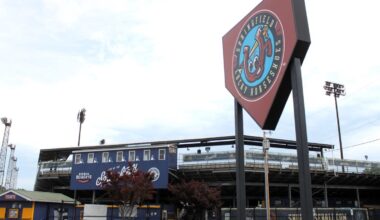 Springfield stadium seeks partner for naming rights deal