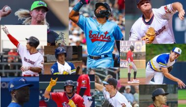 Rule 5 Roster Math: Six Twins Prospects Too Valuable to Lose and Six At-Risk Prospects - Minor Leagues