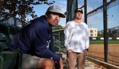 Download app from the App Store