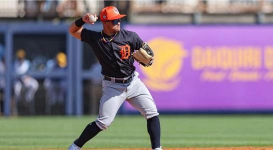 Detroit Tigers infield prospect Carlos Mendoza