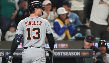 Detroit Tigers catcher wins Gold Glove as best in American League | Sports