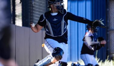 Detroit Tigers Rule 5 draft deadline forces prospect roster choices