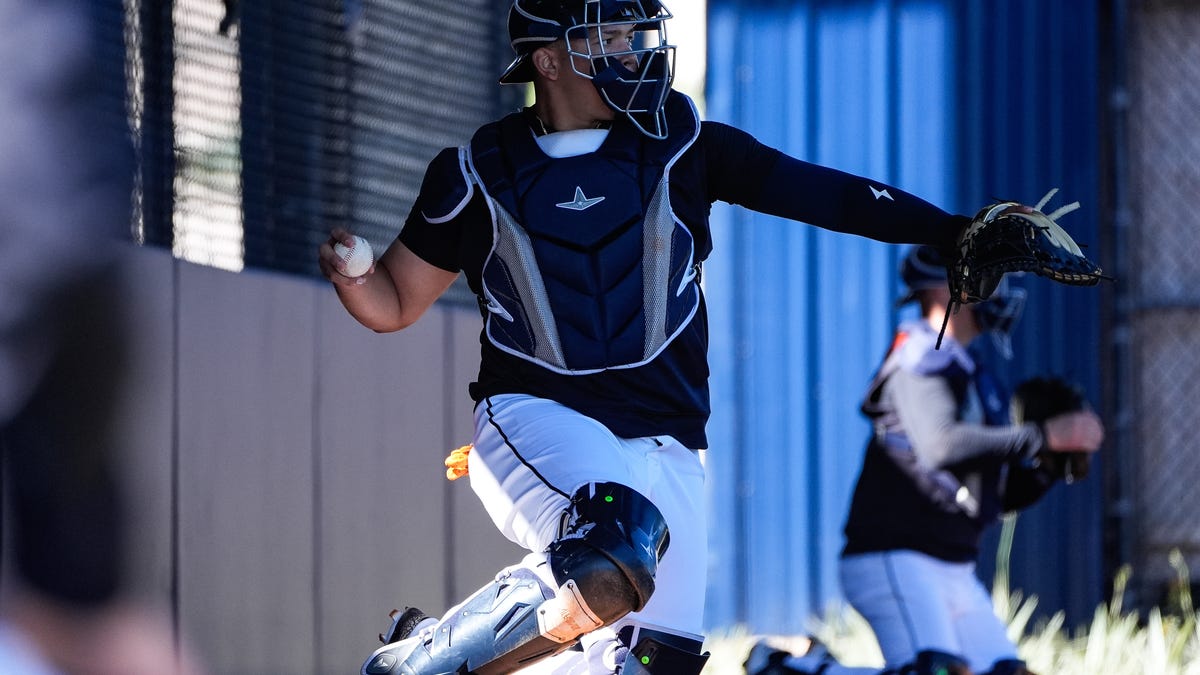 Detroit Tigers Rule 5 draft deadline forces prospect roster choices