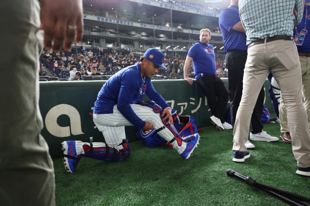 Cubs catcher Miguel Amaya suits up for a team workout...