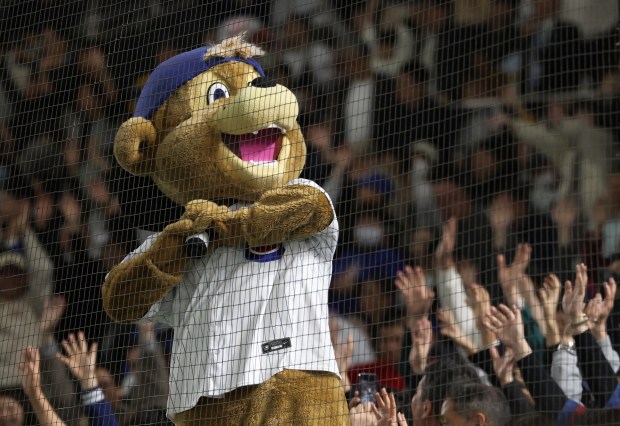 Cubs mascot Clark looks to throw T-shirts to fans in...
